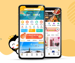 东营安卓APP开发抢购电商系统解锁未来的潜力，我们将为您创造新的机遇【全网最低价，秒杀开始】